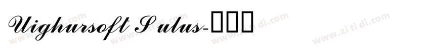 Uighursoft Sulus字体转换